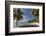 Palm Trees Thrive on the Beautiful Beach of Hawksbill, Antigua, Leeward Islands, West Indies-Roberto Moiola-Framed Photographic Print