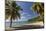 Palm Trees Thrive on the Beautiful Beach of Hawksbill, Antigua, Leeward Islands, West Indies-Roberto Moiola-Mounted Photographic Print