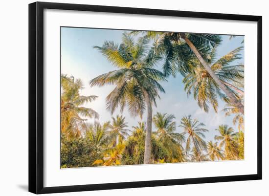 Photo, , large