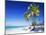 Palm Trees, White Sandy Beach and Indian Ocean, Jambiani, Island of Zanzibar, Tanzania, East Africa-Lee Frost-Mounted Photographic Print