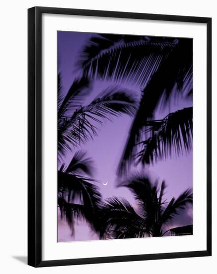 Palm Trees with Moon, Hawaii, USA-Merrill Images-Framed Photographic Print