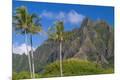 Photographic Print