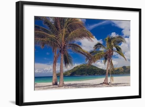 Palm Trees-Matias Jason-Framed Photographic Print