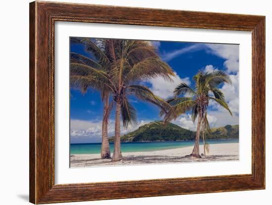 Palm Trees-Matias Jason-Framed Photographic Print