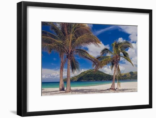 Palm Trees-Matias Jason-Framed Photographic Print