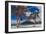 Palm Trees-Matias Jason-Framed Photographic Print