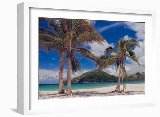 Palm Trees-Matias Jason-Framed Photographic Print