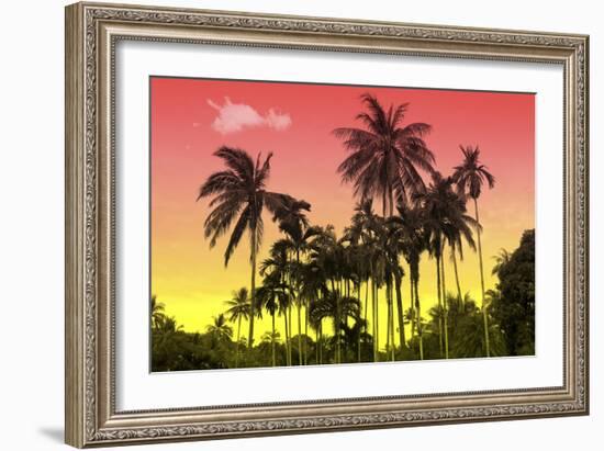 Palm Trees-Mark Ashkenazi-Framed Giclee Print