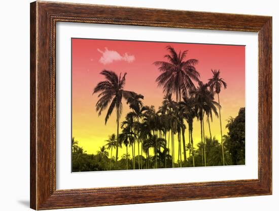 Palm Trees-Mark Ashkenazi-Framed Giclee Print