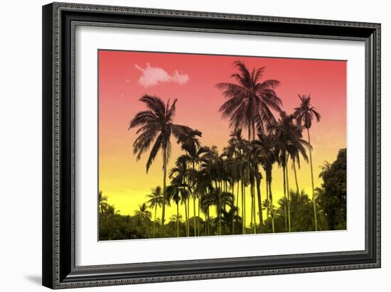 Palm Trees-Mark Ashkenazi-Framed Giclee Print