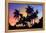 Palm Trees-Mark Ashkenazi-Framed Premier Image Canvas