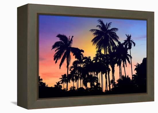 Palm Trees-Mark Ashkenazi-Framed Premier Image Canvas