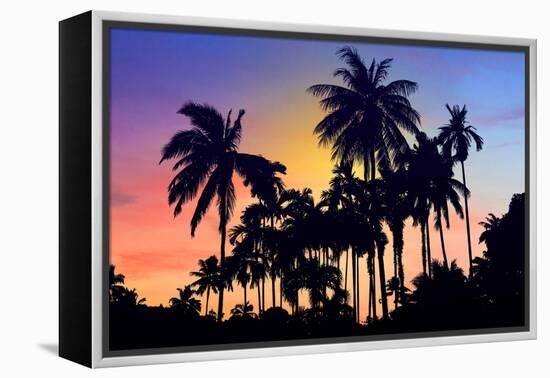 Palm Trees-Mark Ashkenazi-Framed Premier Image Canvas