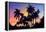 Palm Trees-Mark Ashkenazi-Framed Premier Image Canvas