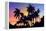 Palm Trees-Mark Ashkenazi-Framed Premier Image Canvas