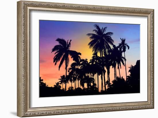 Palm Trees-Mark Ashkenazi-Framed Giclee Print