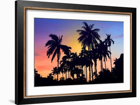 Palm Trees-Mark Ashkenazi-Framed Giclee Print