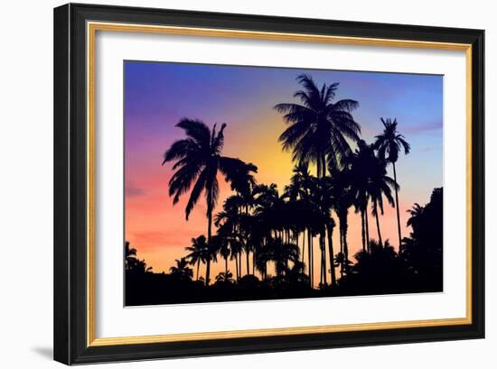 Palm Trees-Mark Ashkenazi-Framed Giclee Print