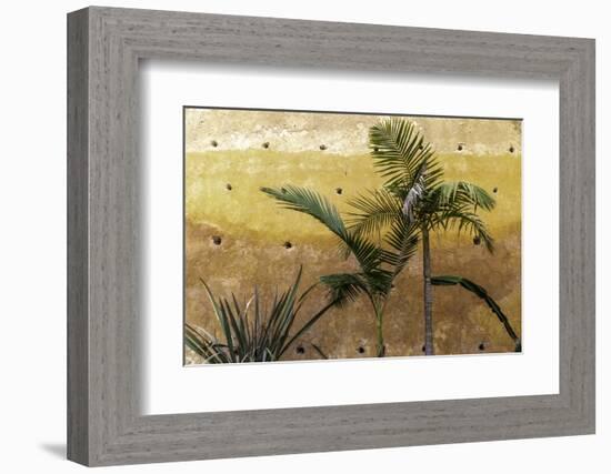 Palm Trees-Art Wolfe-Framed Photographic Print