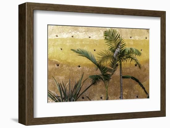 Palm Trees-Art Wolfe-Framed Photographic Print