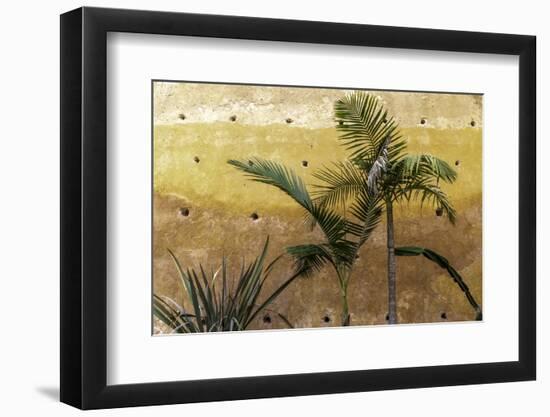 Palm Trees-Art Wolfe-Framed Photographic Print