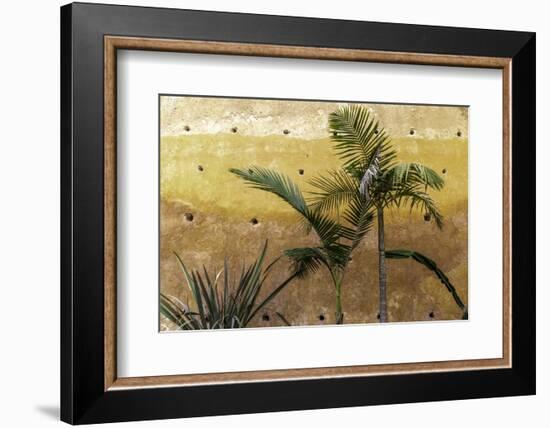 Palm Trees-Art Wolfe-Framed Photographic Print