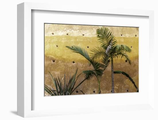 Palm Trees-Art Wolfe-Framed Photographic Print