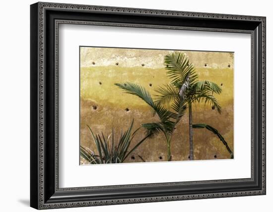 Palm Trees-Art Wolfe-Framed Photographic Print