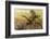 Palm Trees-Art Wolfe-Framed Photographic Print