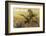 Palm Trees-Art Wolfe-Framed Photographic Print