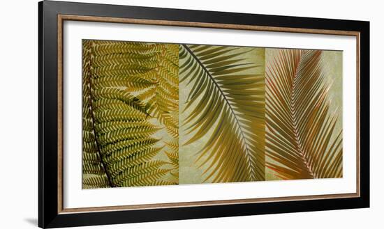 Palm Trio I-null-Framed Art Print