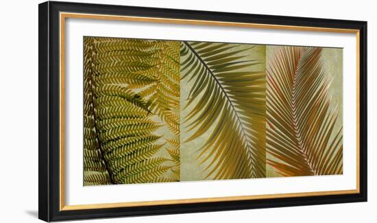 Palm Trio I-null-Framed Art Print