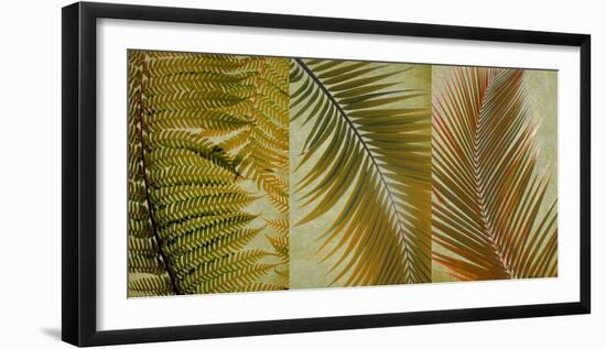 Palm Trio I-null-Framed Art Print