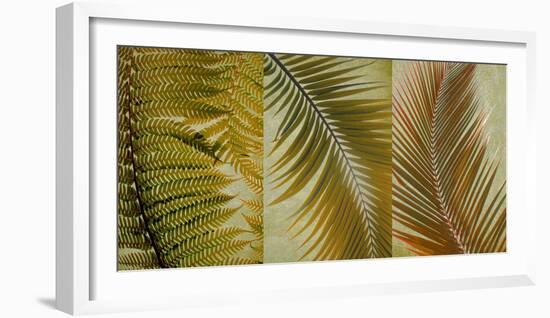 Palm Trio I-null-Framed Art Print