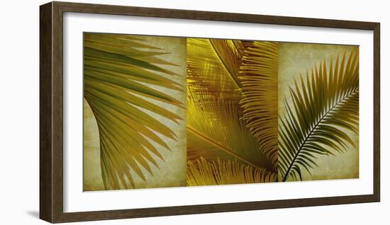 Palm Trio II-null-Framed Art Print