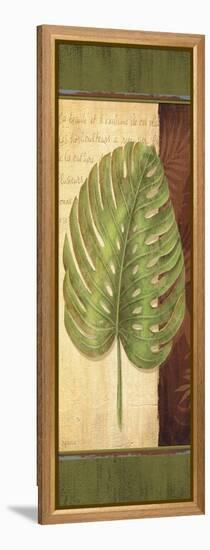 Palm Tropic Panel IV-Delphine Corbin-Framed Stretched Canvas