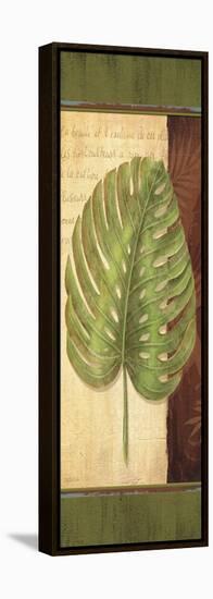 Palm Tropic Panel IV-Delphine Corbin-Framed Stretched Canvas