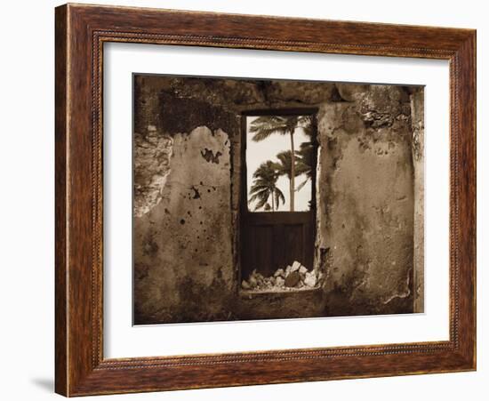 Palm View I-C^ J^ Groth-Framed Giclee Print