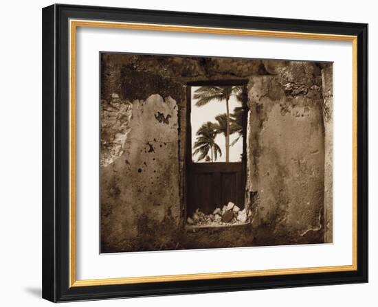 Palm View I-C^ J^ Groth-Framed Giclee Print