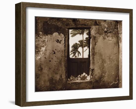 Palm View I-C^ J^ Groth-Framed Giclee Print