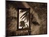 Palm View II-C^ J^ Groth-Mounted Giclee Print