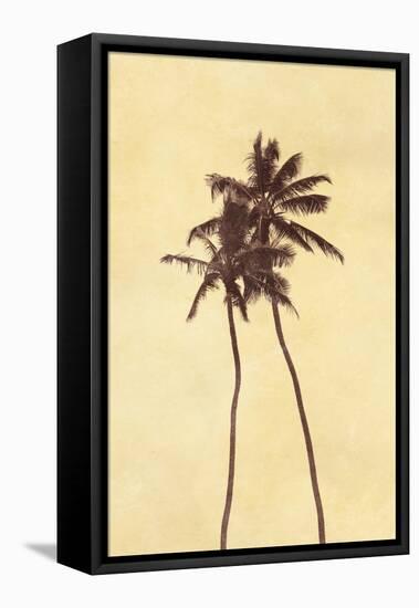 Palm Vista I-Thea Schrack-Framed Premier Image Canvas