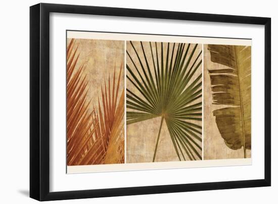 Palm Vista II-John Seba-Framed Art Print