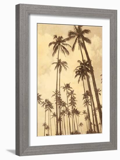 Palm Vista V-Thea Schrack-Framed Giclee Print