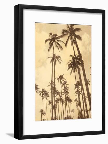 Palm Vista V-Thea Schrack-Framed Giclee Print