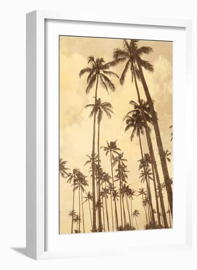 Palm Vista V-Thea Schrack-Framed Giclee Print