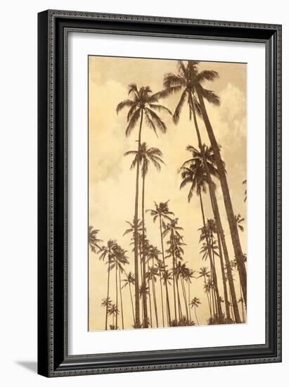 Palm Vista V-Thea Schrack-Framed Giclee Print