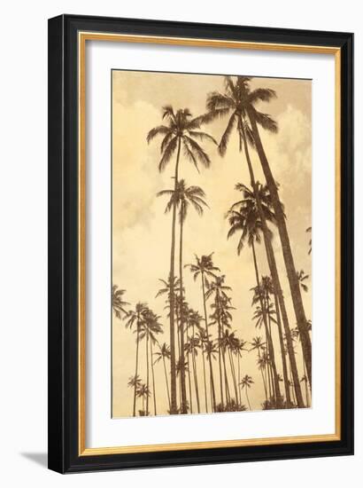 Palm Vista V-Thea Schrack-Framed Giclee Print