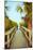 Palm Walkway I-Susan Bryant-Mounted Art Print