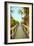 Palm Walkway I-Susan Bryant-Framed Art Print